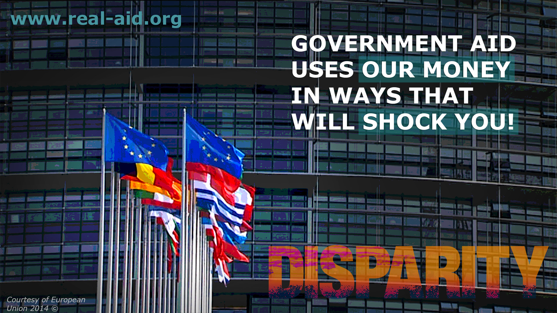 Disparity Film Poster, government aid uses our money in ways that will shock you text, european flags outside building image